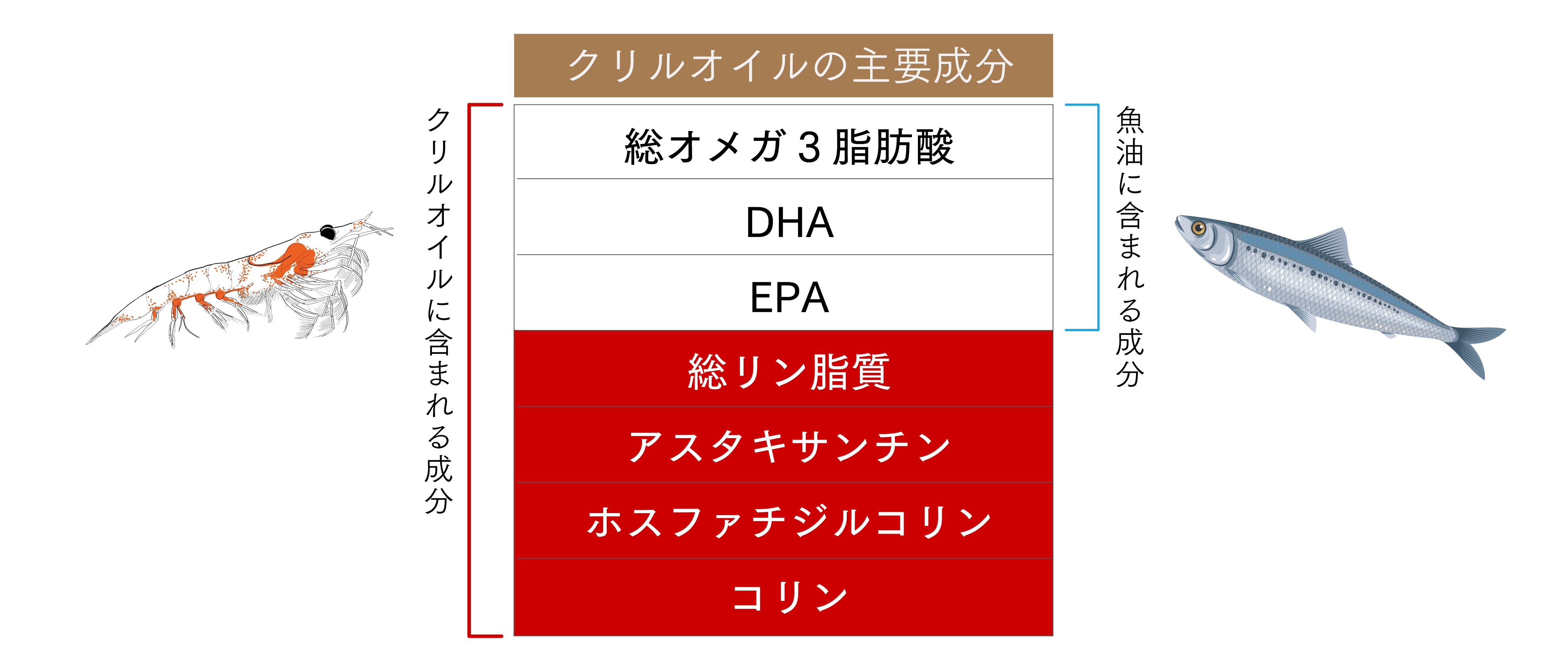 クリルオイルについて知っておくべき3つのこと