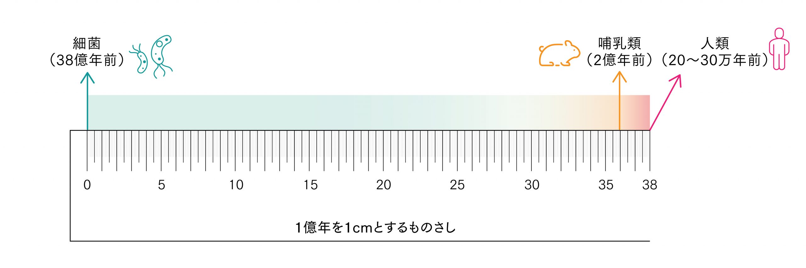 「超・自然免疫学とLPS」イベントレポート